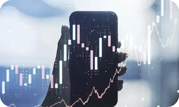 Stable Capital Pro co to je